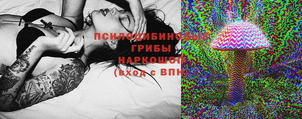 тгк Абинск