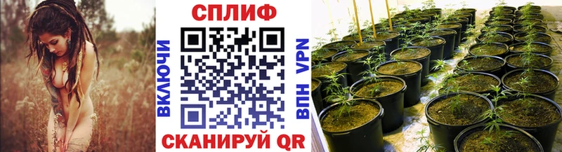 магазин продажи   Сухиничи  Канабис VHQ 
